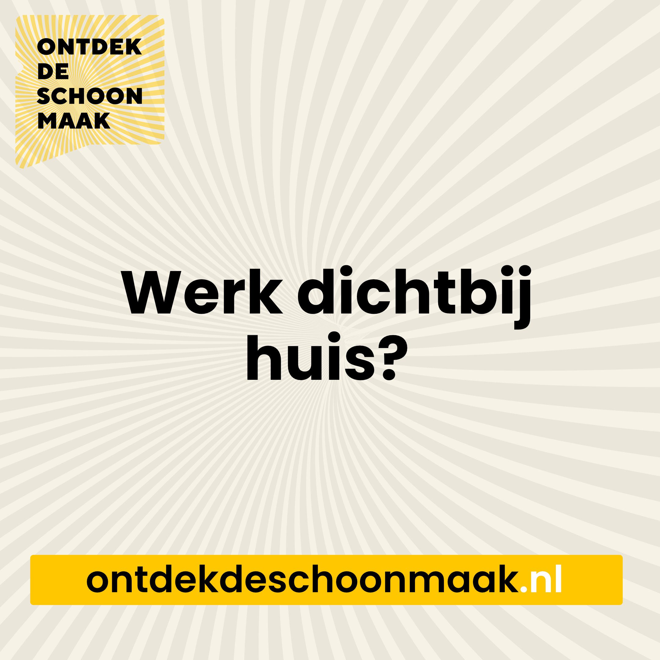 ontdek de schoonmaak